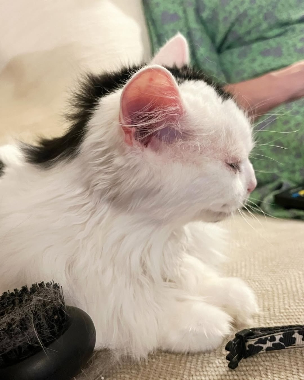 像是80年代搖滾造型！