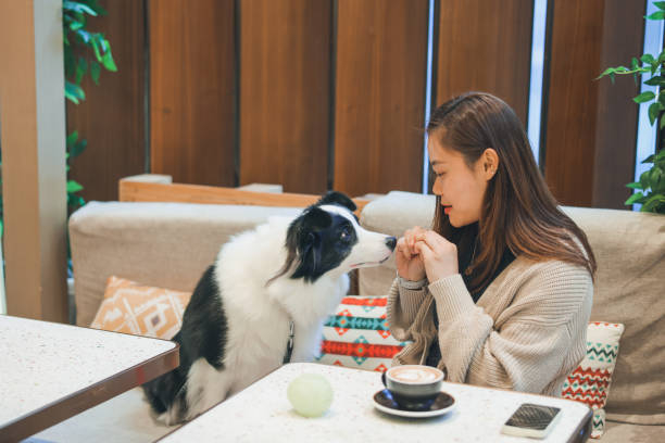 食肆需符合衛生及安全標準。