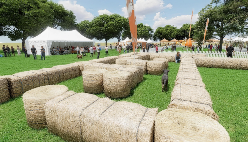 自由狂奔無限樂趣！