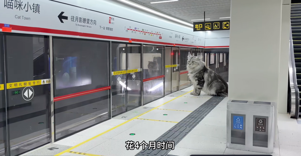 貓咪地鐵站！