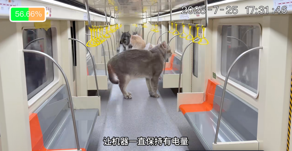 畫面逼真太厲害了！