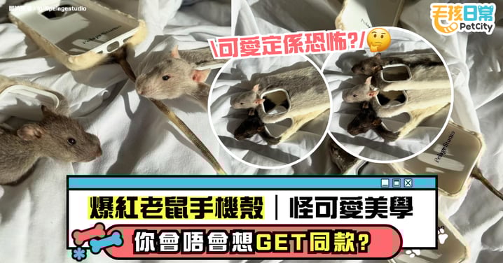老鼠趴喺你部手機上？爆紅 Rat Phone Case 的怪可愛美學 你會唔會想 GET 同款？