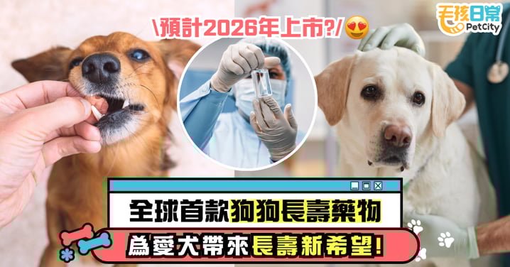 全球首款狗狗長壽藥物｜預計2026年上市 為愛犬帶來長壽新希望！