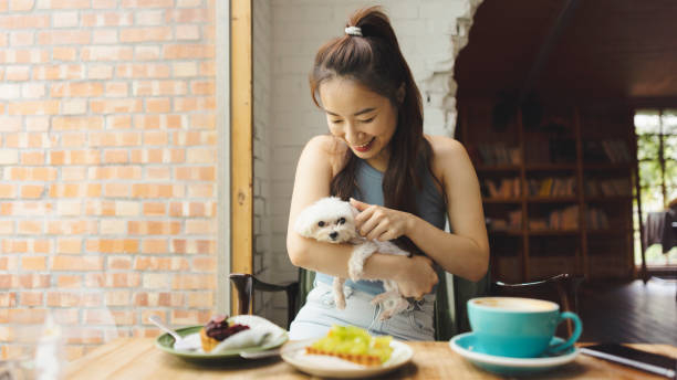 【2025施政報告】香港解除寵物狗入餐廳禁令 餐飲業迎來新商機！