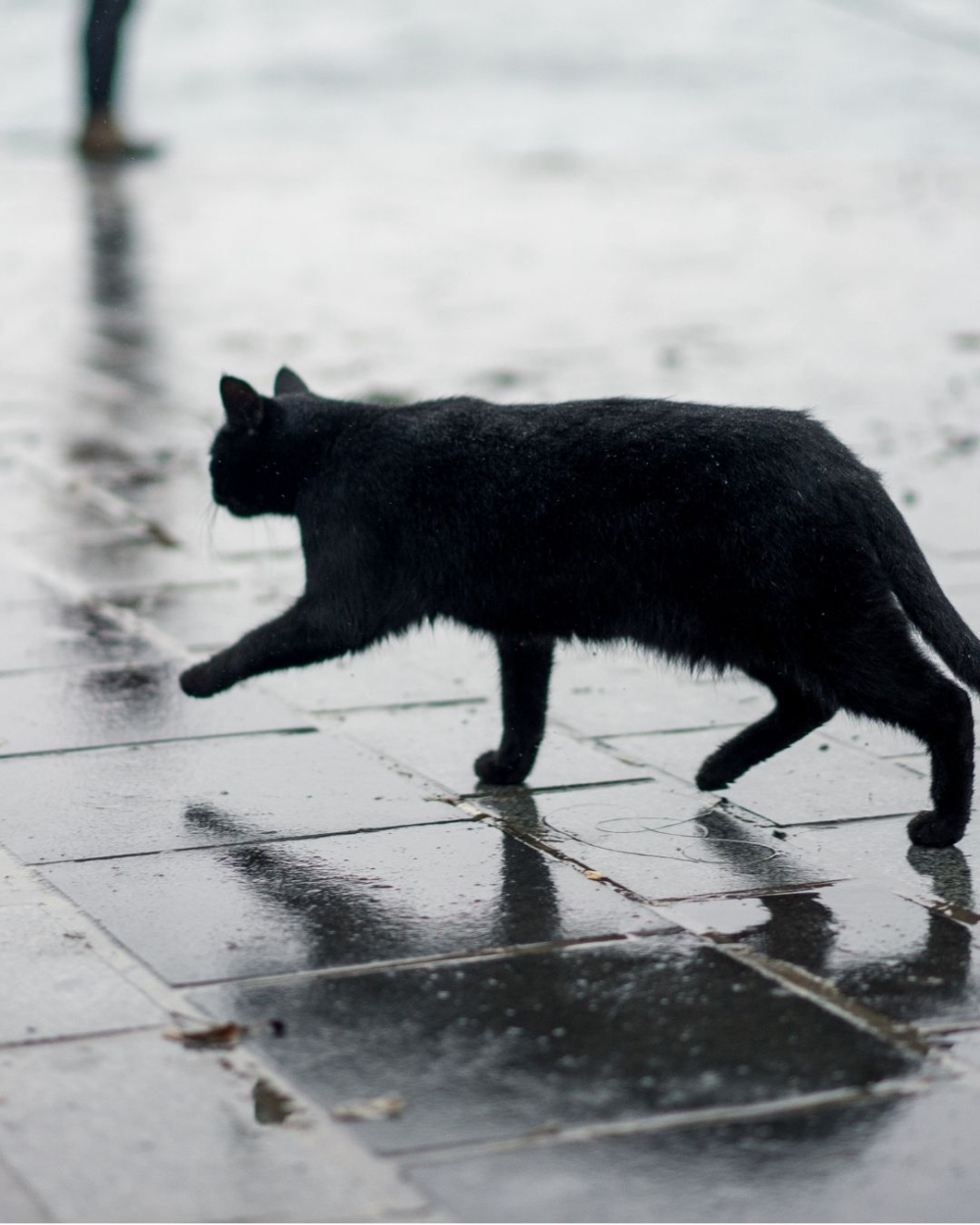 4大貼心行動防止受傷走失。