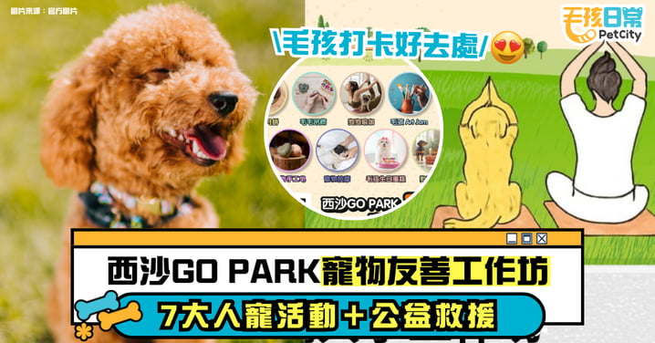 【西沙 GO PARK × 毛守救援】7大主題寵物工作坊|自製毛孩生日蛋糕+月餅+瑜珈療癒 打卡兼做公益