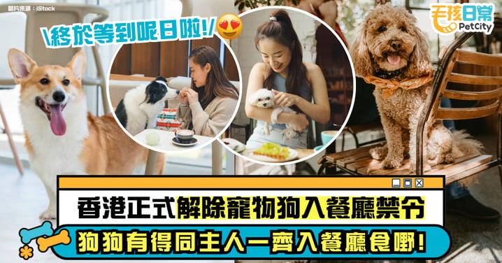 【2025施政報告】香港解除寵物狗入餐廳禁令 餐飲業迎來新商機！