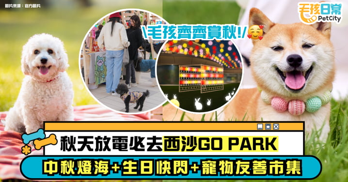 毛孩齊賞秋！西沙 GO PARK 十月秋日巡禮｜中秋燈海、生日展、寵物友善市集