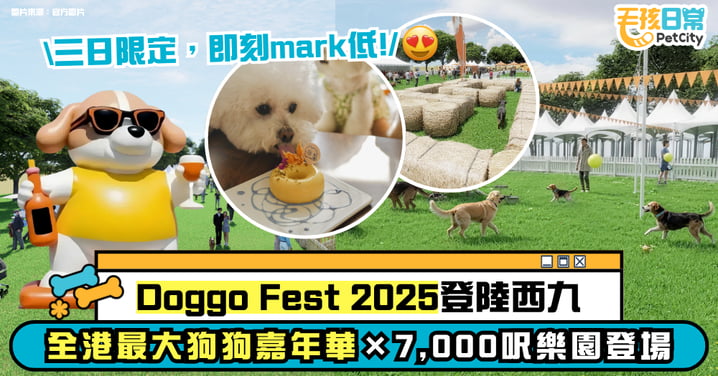 Doggo Fest 2025 登陸西九！全港最大狗狗嘉年華 × 7,000呎感官樂園登場
