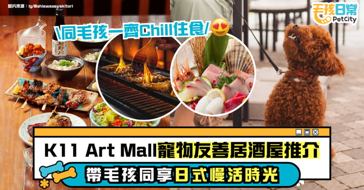 K11 Art Mall 寵物友善居酒屋推介|幸福鳥與毛孩共享日式氛圍