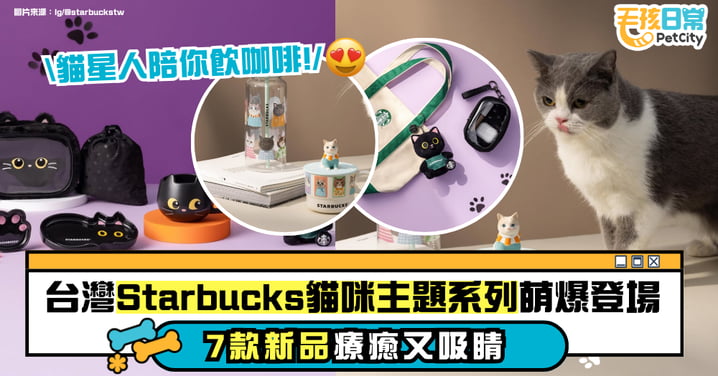 星巴克貓咪主題系列萌勢登場　7 款新品療癒吸睛