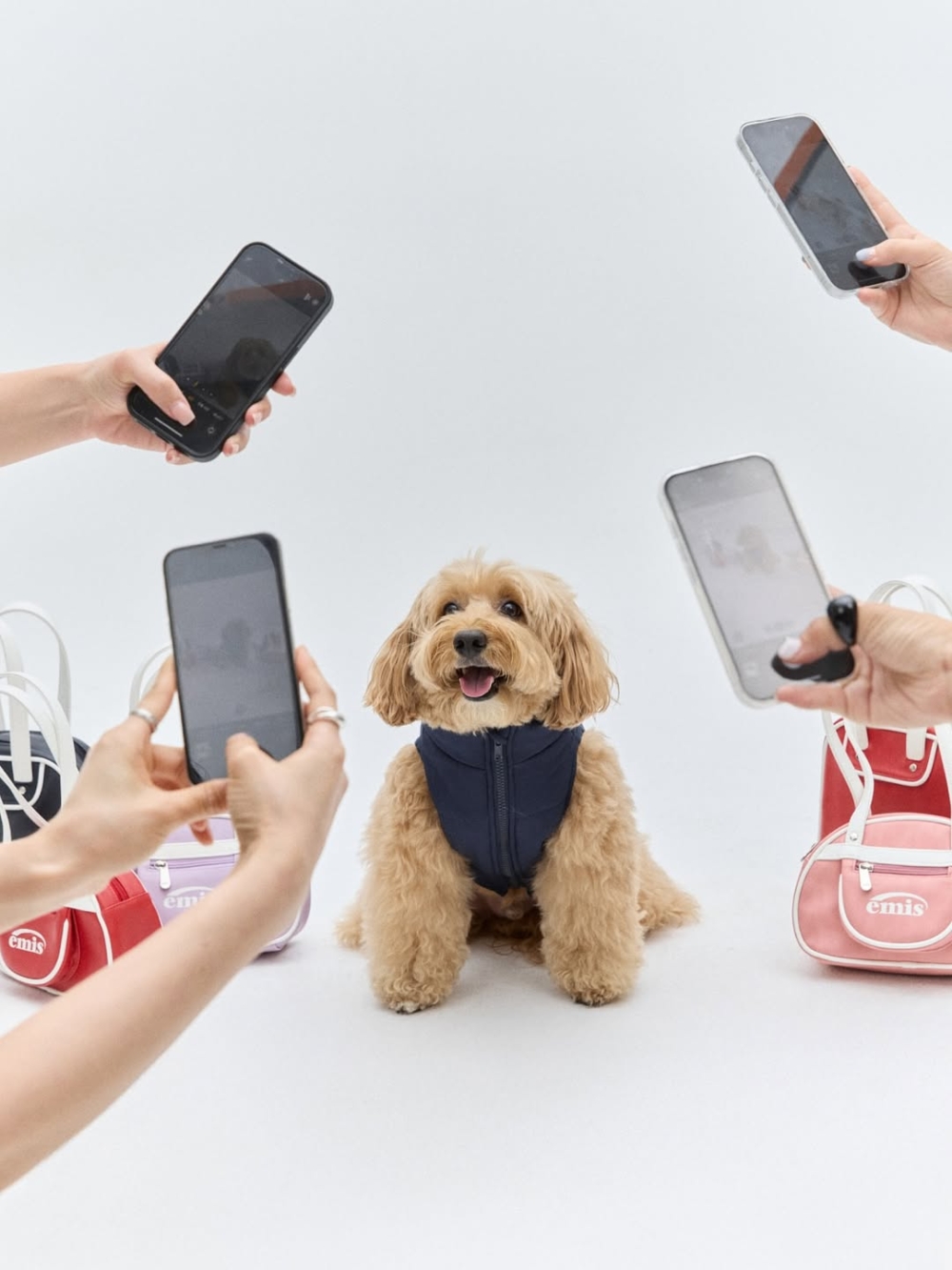 主打商品與價格.