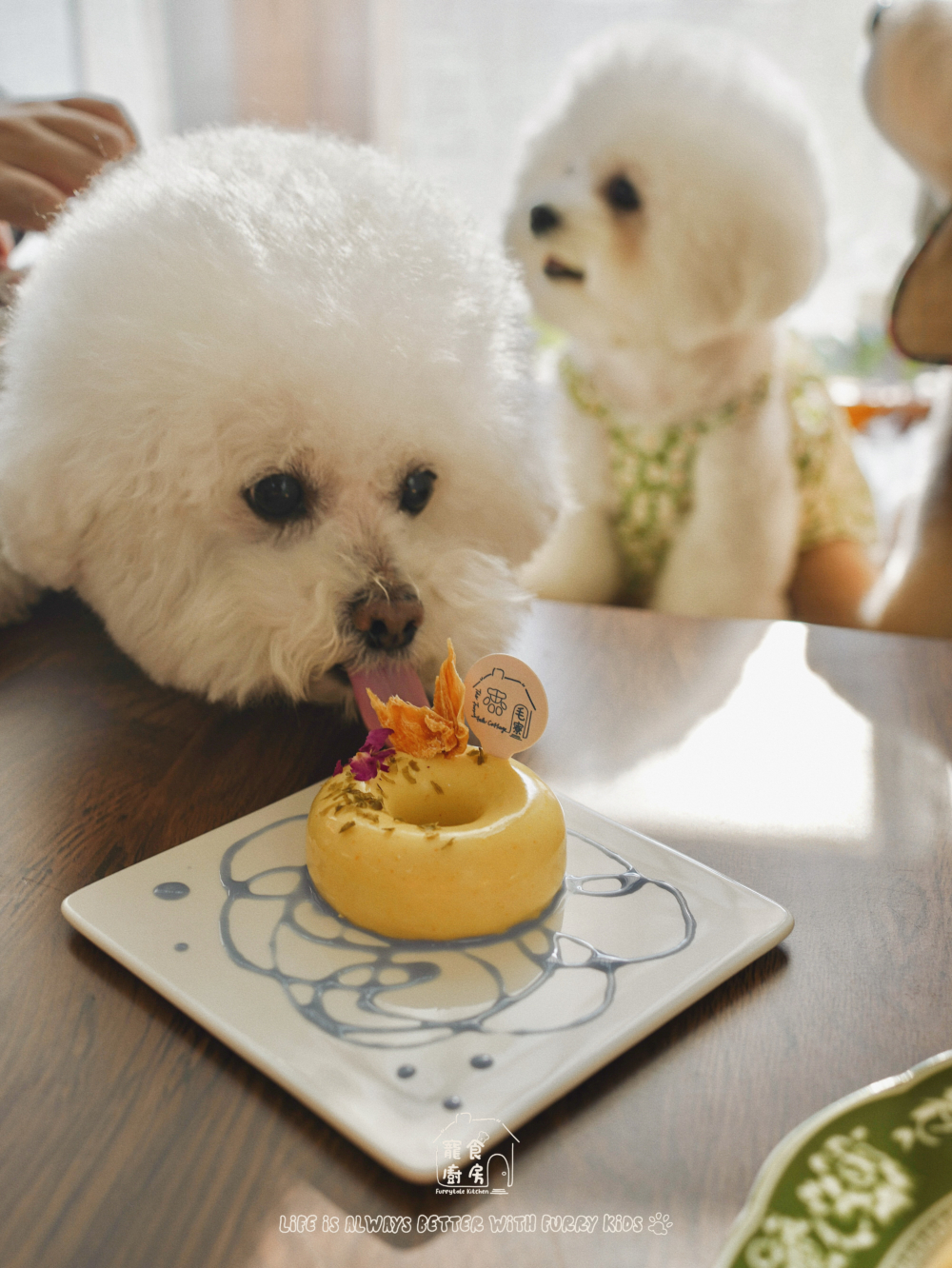 寵物小食攤位。