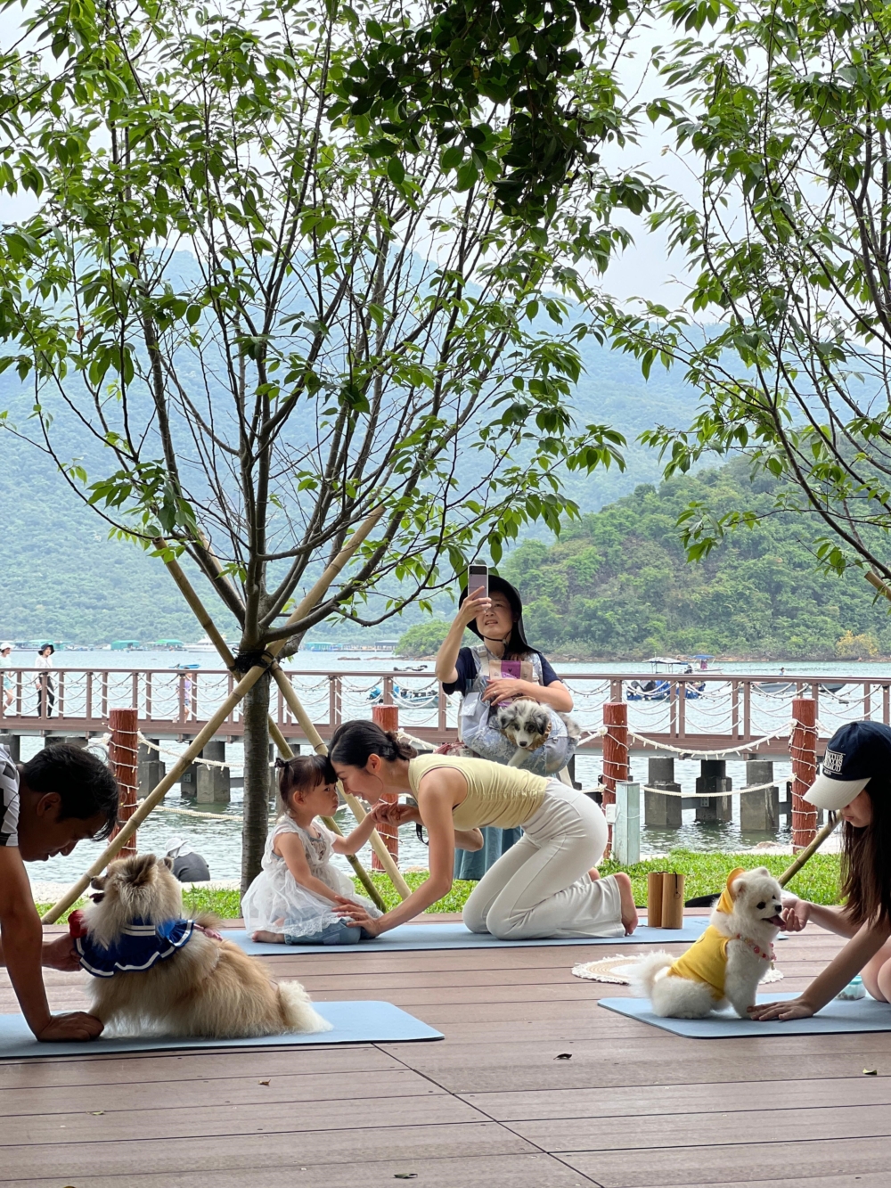 多位獸醫與犬隻訓練師坐陣，帶來關於健康、營養、正向訓練、急救及寵物旅行的講座。