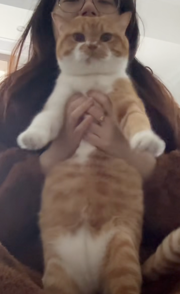 肚肚還會隨著節奏抖動。