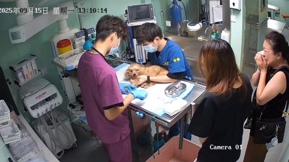 多吉：最後一次好好記住你的樣子。