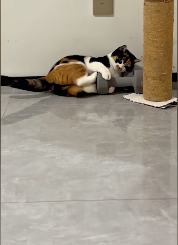 是在偷偷練什麼？