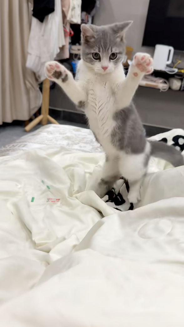 看這個樣子真的是被嚇到啦！