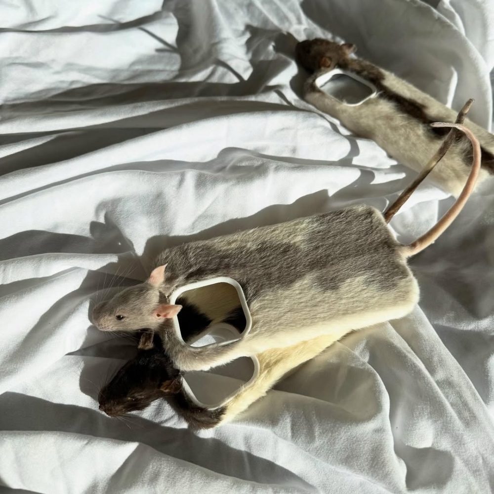 怪可愛（Weird-Cute）潮流。