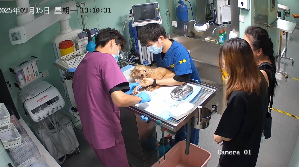 多吉：讓我再最後看你們一眼吧～