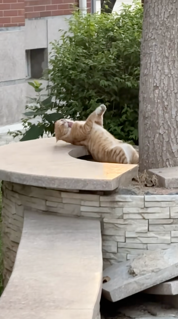 好像越看越不對勁？