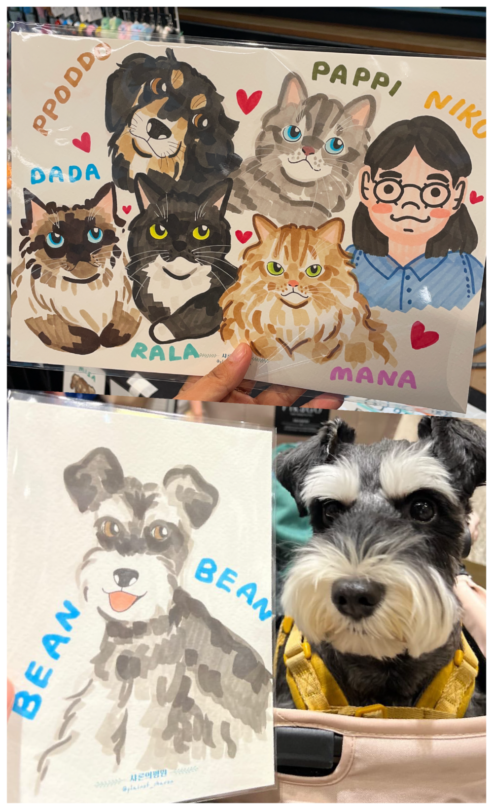 韓國插畫師 Plain of Sharon 合作的現場速繪。