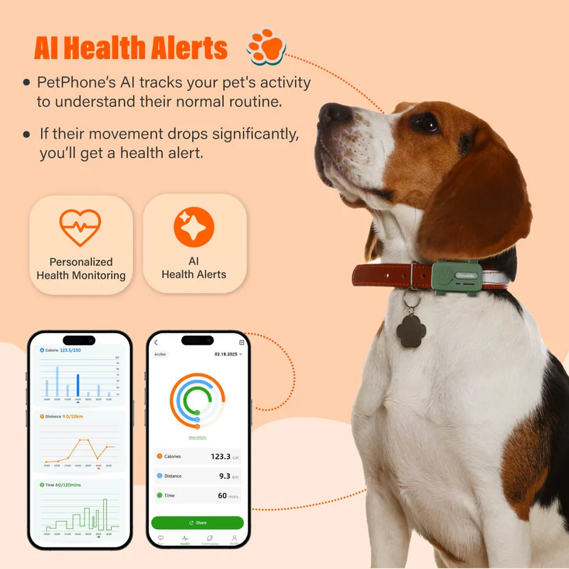 PetPhone 正式登陸香港