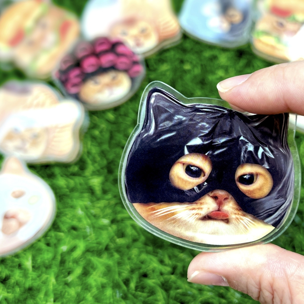 垃圾袋蒙面貓霸氣登台！