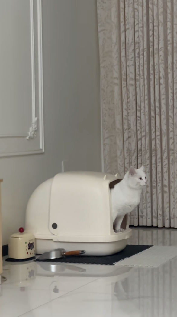 原本是這樣的，結果下一秒......