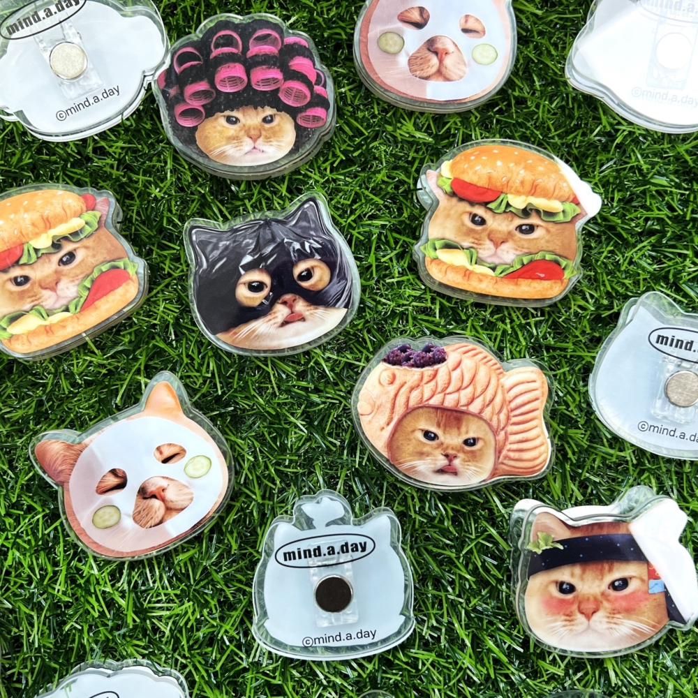 你還記得非常火的「垃圾袋蒙面貓」嗎？