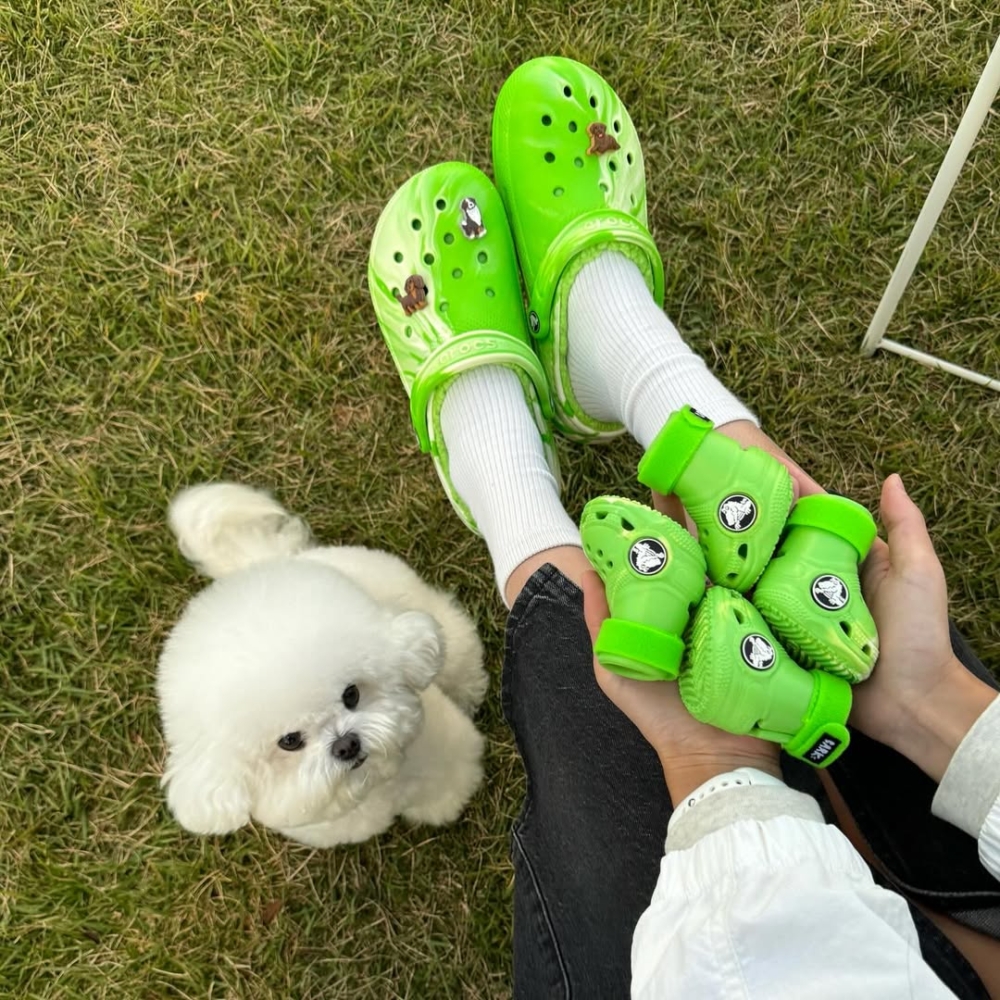 狗狗也可以跟上潮流！