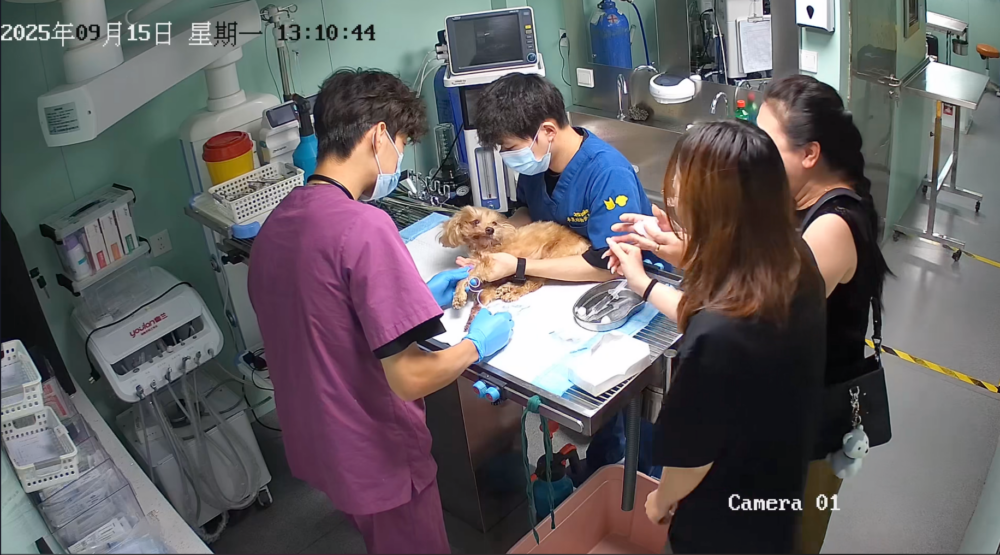 愛是想觸摸卻又收回的手。