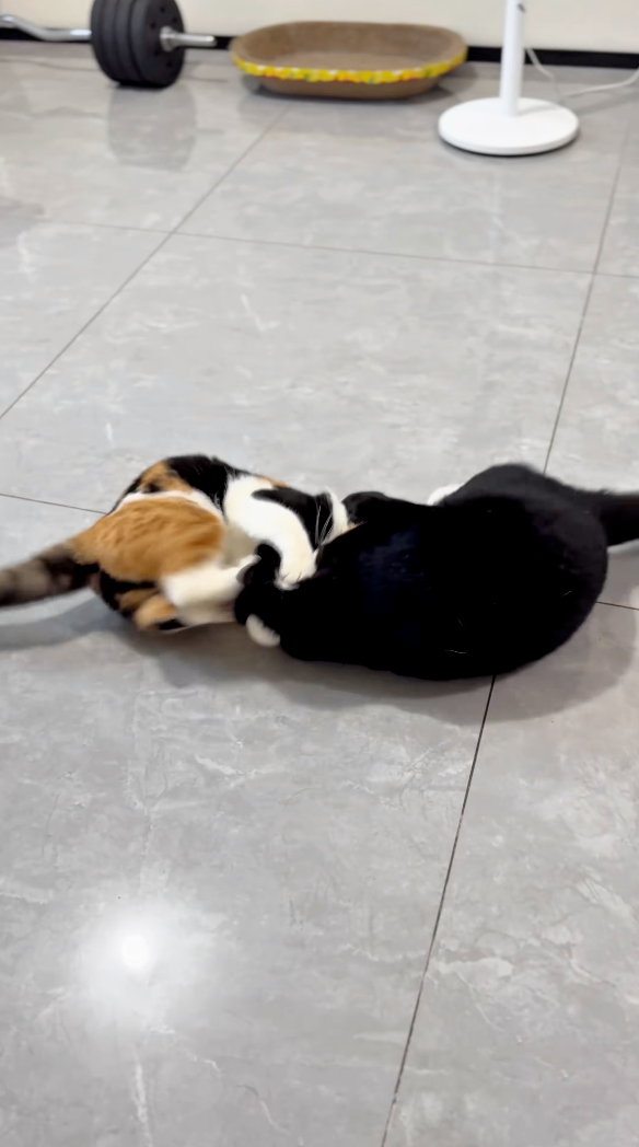 原來是要踹其他小弟！