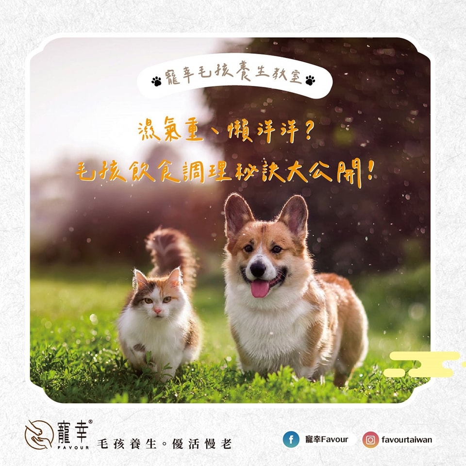 西沙 GO PARK 十月準備咗一連串秋日盛事！