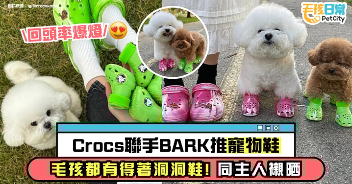 Crocs 竟然有寵物鞋!毛孩都能穿上潮流洞洞鞋 同主人同步出街💚🐾