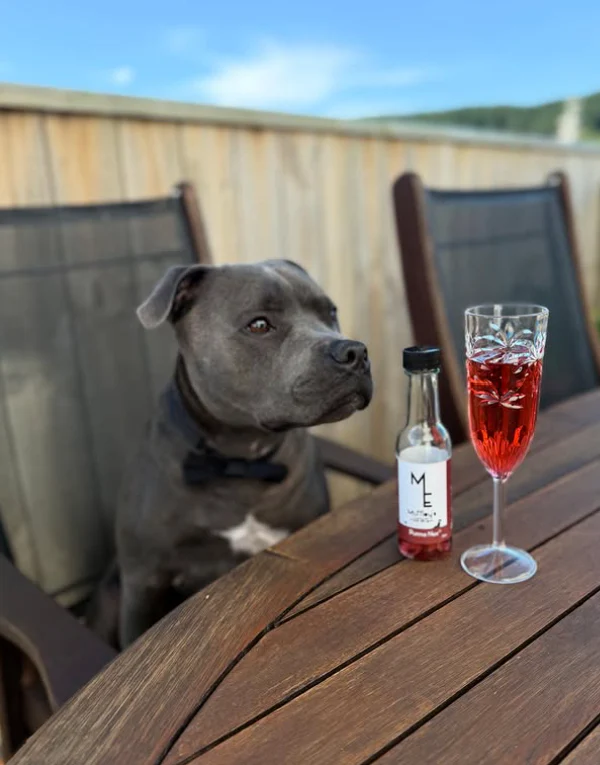 如今品牌已吸引泰國、日本等地的興趣，更計劃進軍美國、英國市場，準備讓更多毛孩都能「舉杯放鬆」！ 