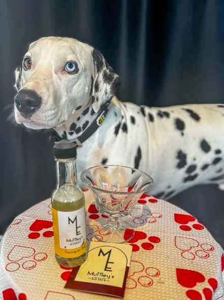 新西蘭推出「狗狗貓咪專屬葡萄酒」主子都可以一起乾杯啦！