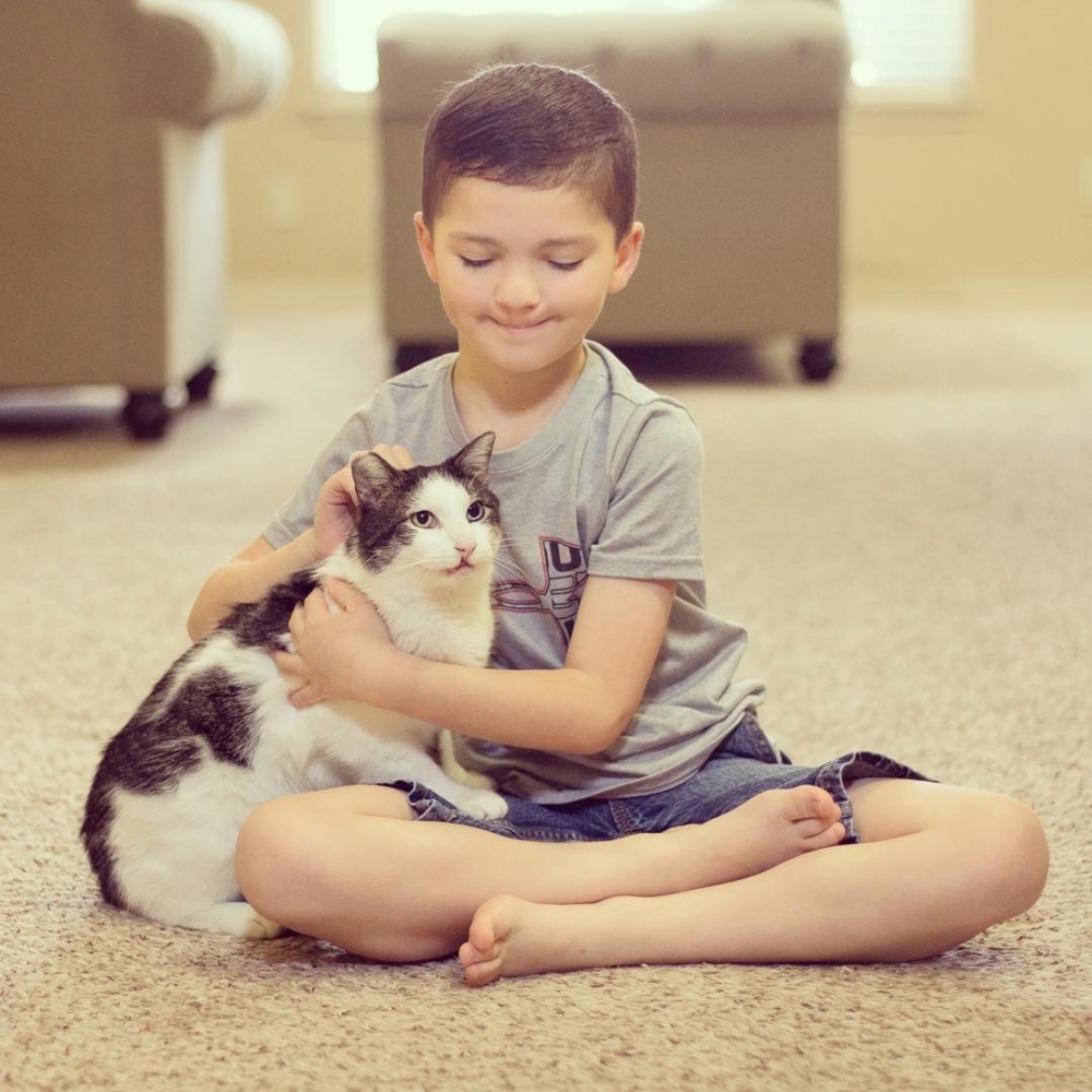 Madden 不再感到孤單，因為他有一位懂他的好朋友；而小貓也從流浪的日子走進了一個溫暖的家。