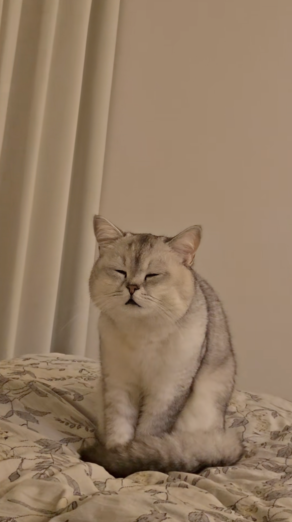 到底是在堅持什麼？