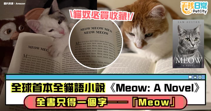 貓奴必買神書!全書只寫「Meow」80,000 次 全球首本全貓語小說《Meow: A Novel》爆紅!