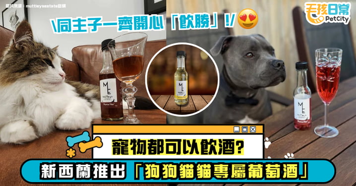 寵物也能小酌一杯?新西蘭推出「狗狗貓咪專屬葡萄酒」主子都可以一起乾杯啦!