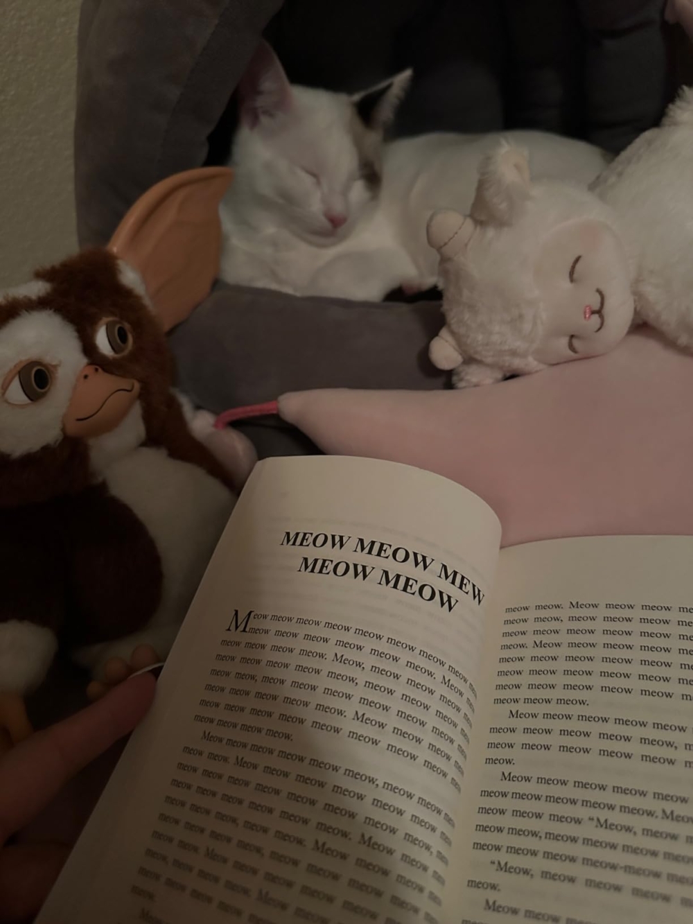 是不是買了就會說貓語了😝？