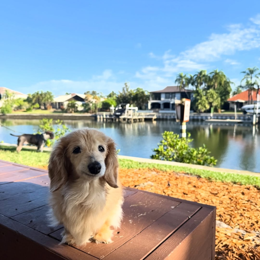 這個笑容好治癒！