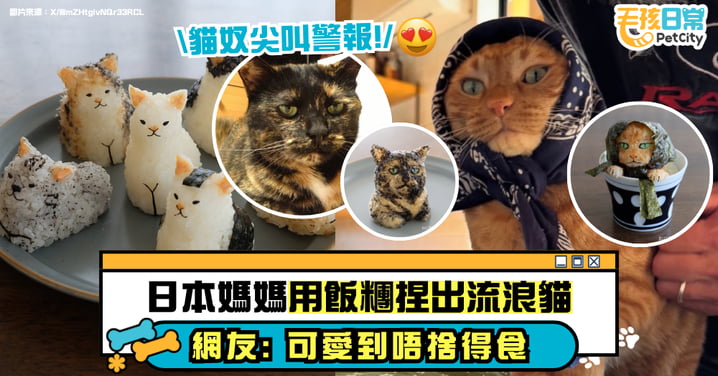 貓奴尖叫警報!おにぎり劇場用飯糰捏出流浪貓 可愛神還原貓咪表情 萌到網民直呼捨不得吃🍙🐱