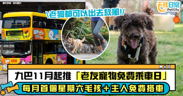 九巴 11 月起推「老友寵物免費乘車日」每月首個星期六毛孩＋主人免費登車