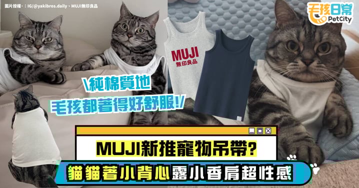 MUJI推出寵物吊帶了?貓咪穿上童裝背心 意外多了點小性感~