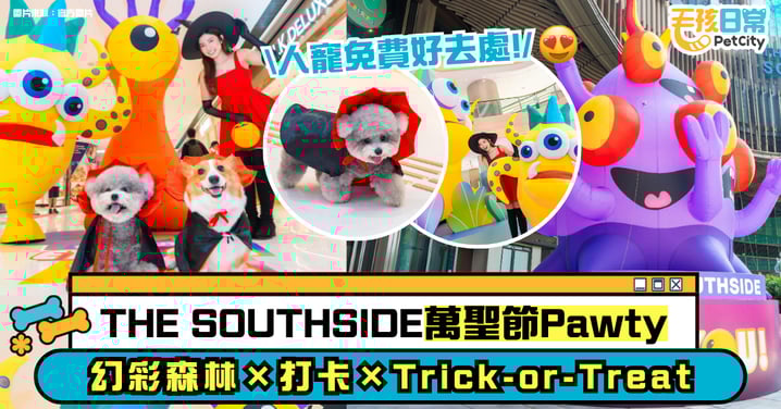 人寵萬聖節好去處!THE SOUTHSIDE變身幻彩森林 毛孩也能參加Halloween Pawty!