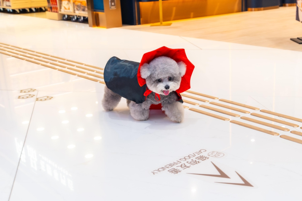 誠邀各位大小朋友帶同愛寵一同換上節日裝扮，盡情探索這場融合藝術與驚喜的萬聖節奇幻之旅，創造難忘節日回憶！