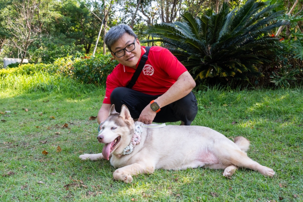 義工與狗狗第一站先到到藝術公園和西九龍海濱長廊散步，有狗狗選擇到草地上稍作歇息，享受著義工替牠們按摩的感覺。