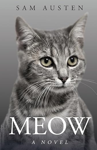 全書只寫「Meow」80,000 次　全球首本全貓語小說《Meow: A Novel》爆紅！